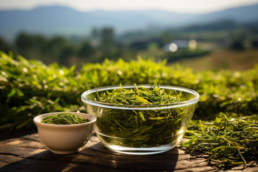 Comment profiter au mieux des bienfaits du thé vert ?