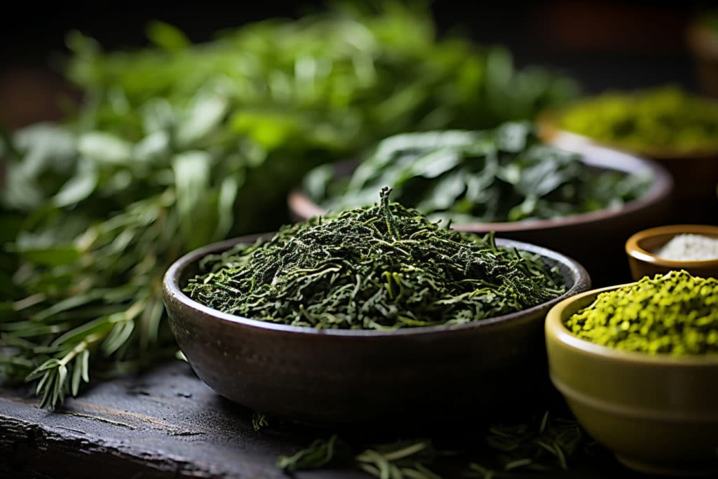 Le thé vert et ses composants bénéfiques pour la santé